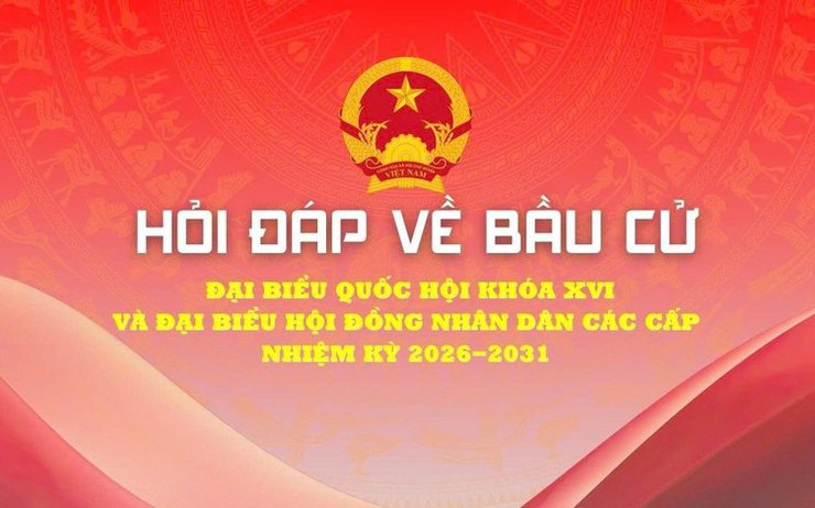 Nguyên tắc xác định người trúng cử được 
quy định như thế nào?