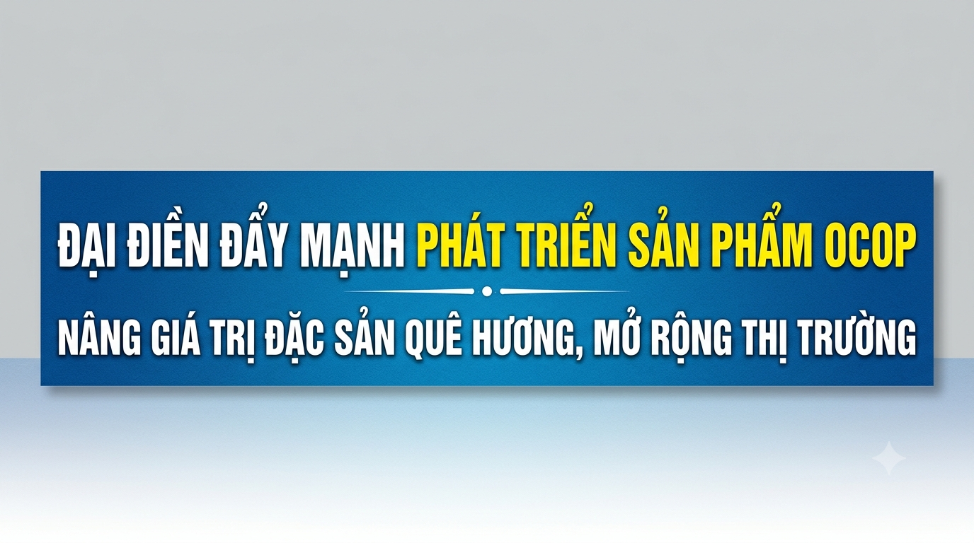 Đại Điền đẩy mạnh phát triển sản phẩm Ocop - Nâng giá trị đặc sản quê hương, mở rộng thị trường